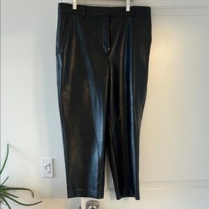 Aritzia Babaton Black Leather Pants